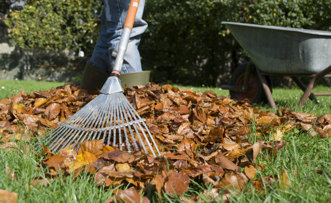 raking leaves