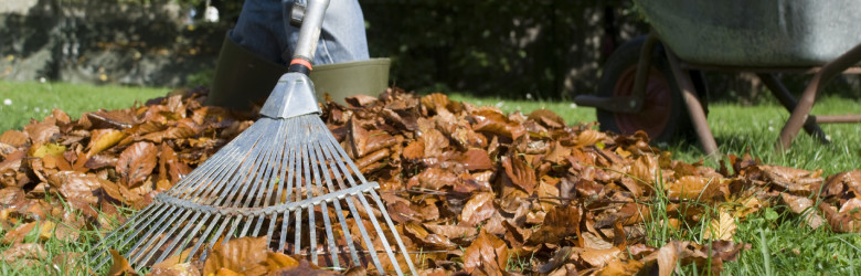 raking leaves