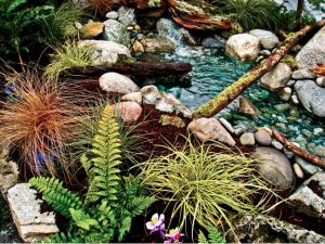 Pond 